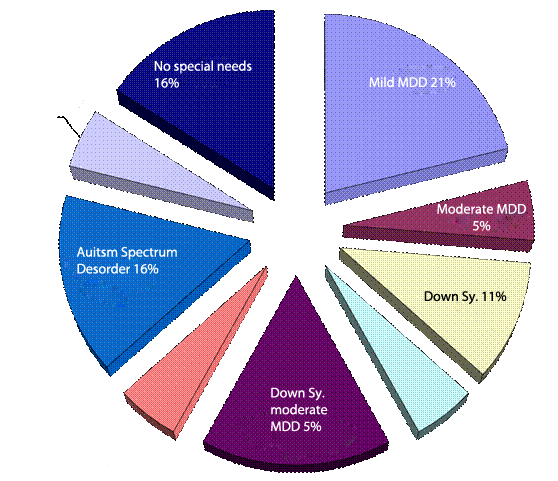 dispability chart amongst the "dolphins swimming group"